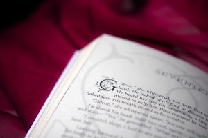 2011007-BookPromo-JKL-19